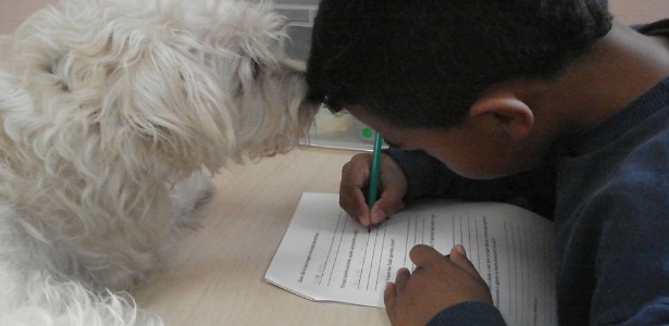 A terapia com animais pode ser útil para autistas, pois estimula a criação de vínculo